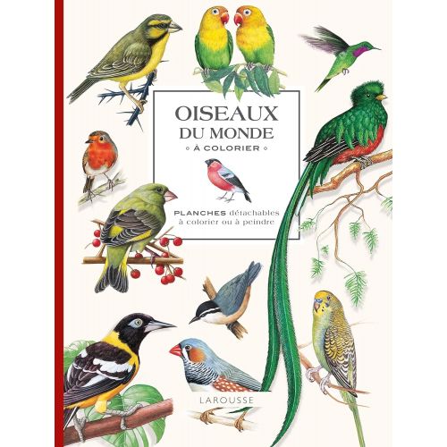 Oiseaux Du Monde Colorier Livre Creastore