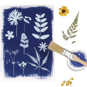 Clairefontaine - Solutions pour Cyanotype