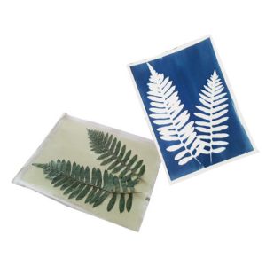 Kit Cyanotype - 10 feuilles prêtes à l'emploi  + plaque transparente - Enjoy Art