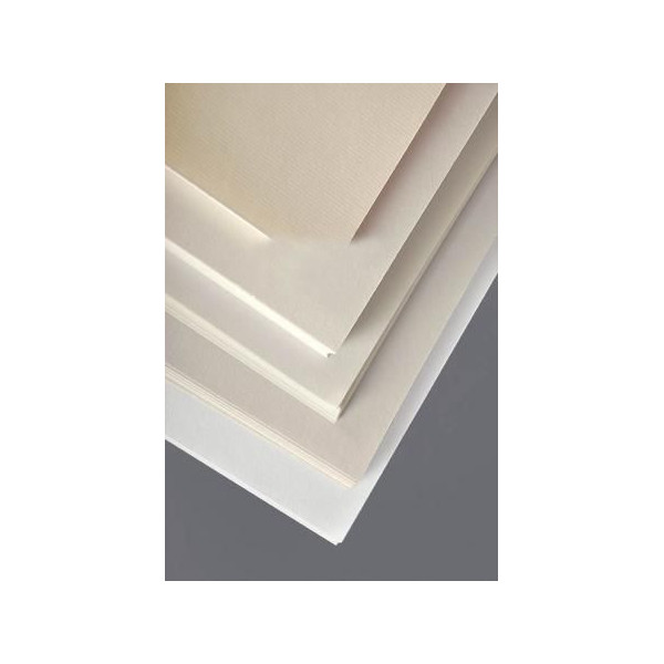 Ramette de papier à dessin 250 feuilles A3 160 g/m² Divers chez Rougier &  Plé